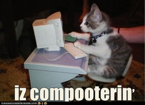 computer cat